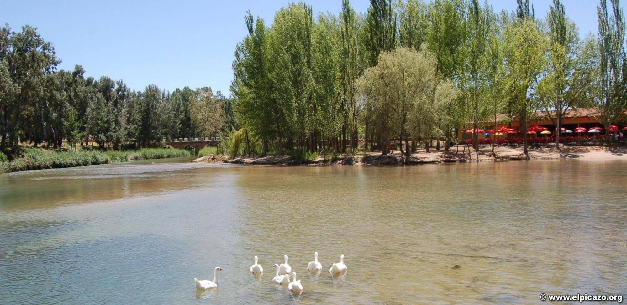 Casa Rural Las Tejas El Picazo 외부 사진